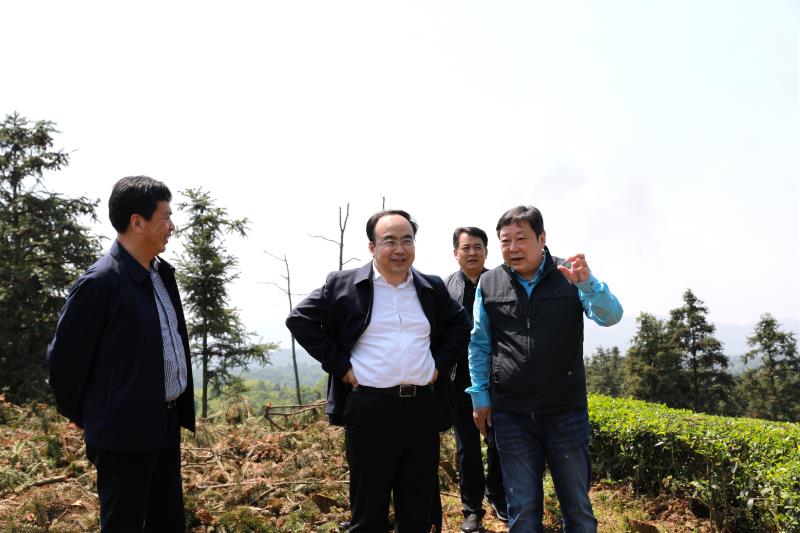 铂莱国际(柬埔寨)官方网站